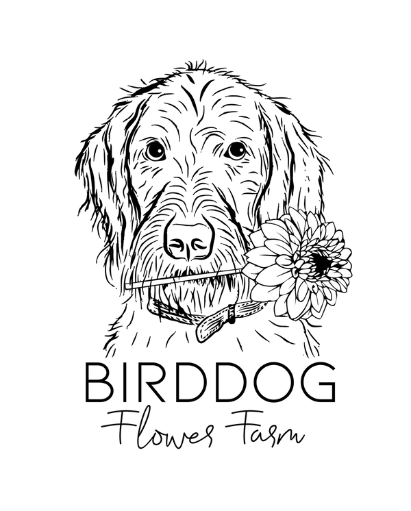 Birddog Flower Farm logo, a farm offering u-pick dahlia bouquets in Howell, MI.  Also ships dahlia tubers for sale nationwide.  Transparent background.