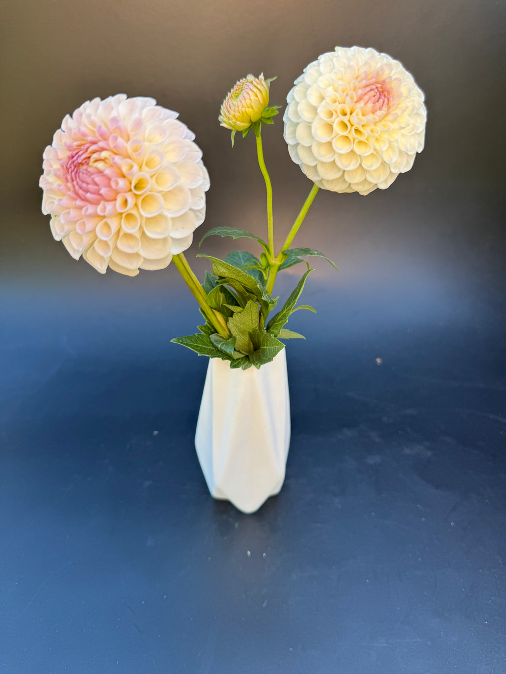 20th Ave Memory - Dahlia