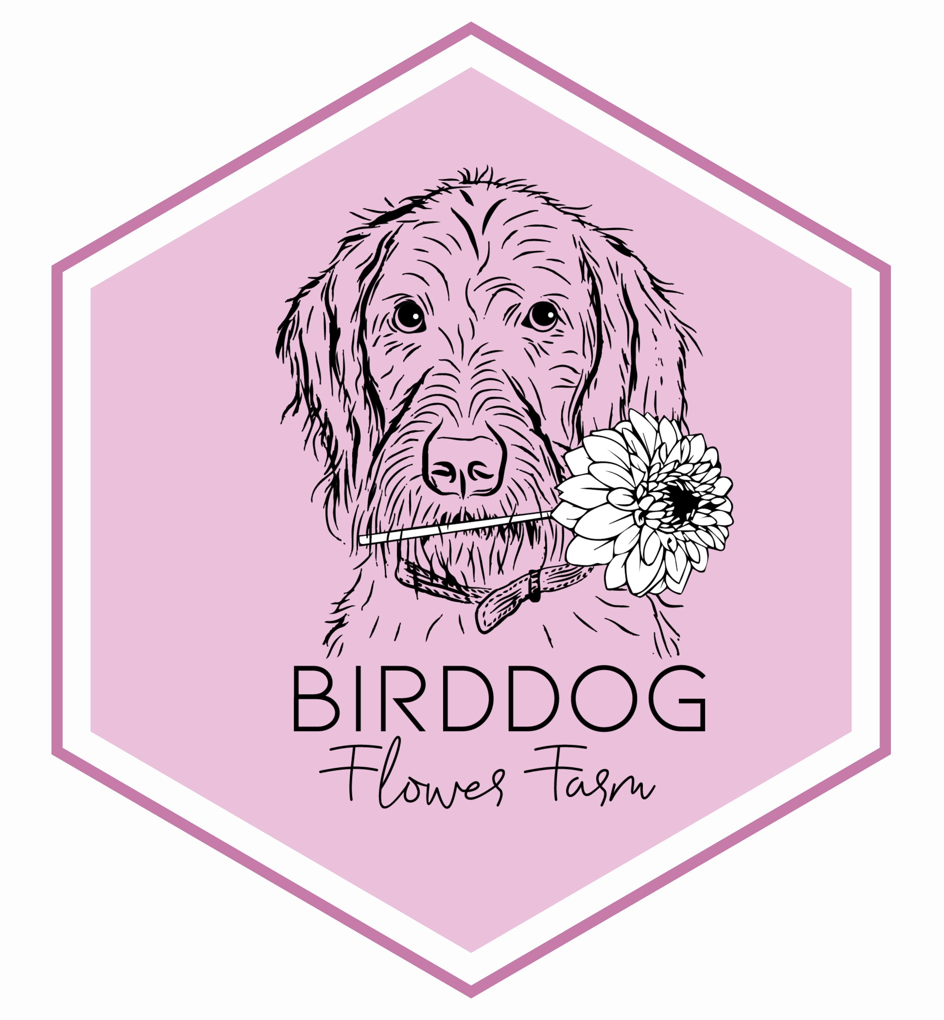 Birddog Flower Farm logo, a farm offering u-pick dahlia bouquets in Howell, MI.  Also ships dahlia tubers for sale nationwide.  Laid over a pink hex background.