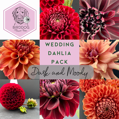 Grid of dahlia flowers included in a Dark & Moody theme wedding pack, purchase tubers for sale to grow your own flowers