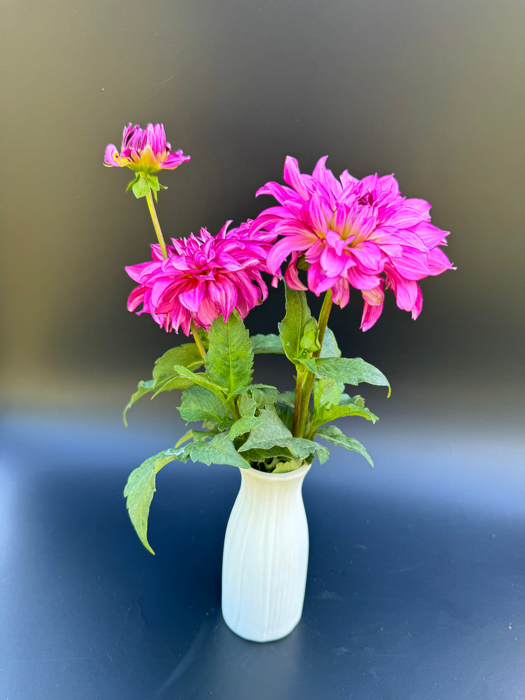 Drama Queen - Dahlia