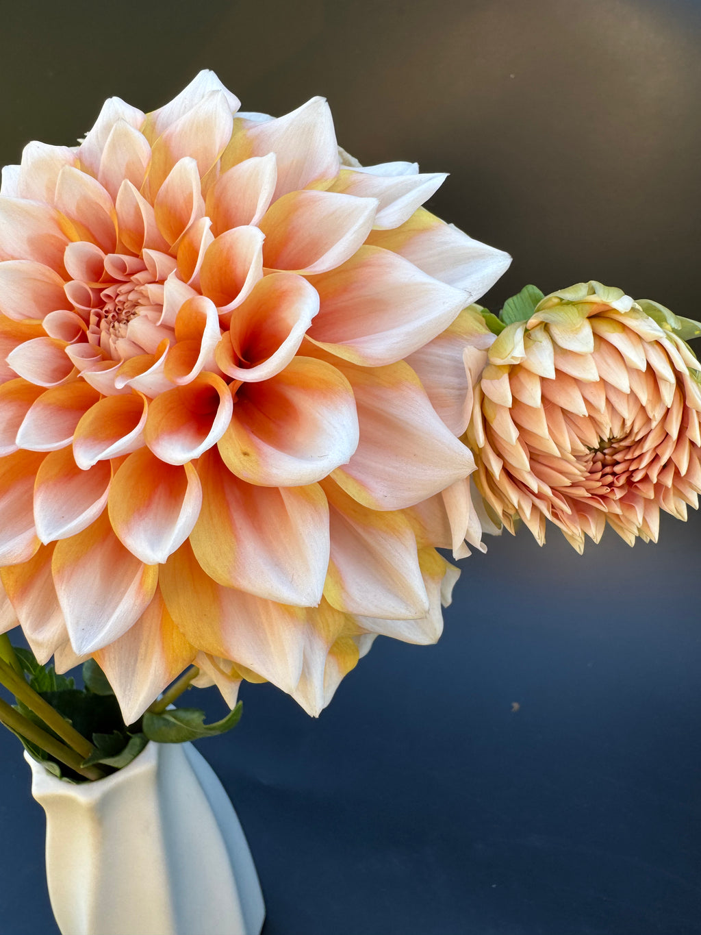 Hollyhill Orange Ice - Dahlia