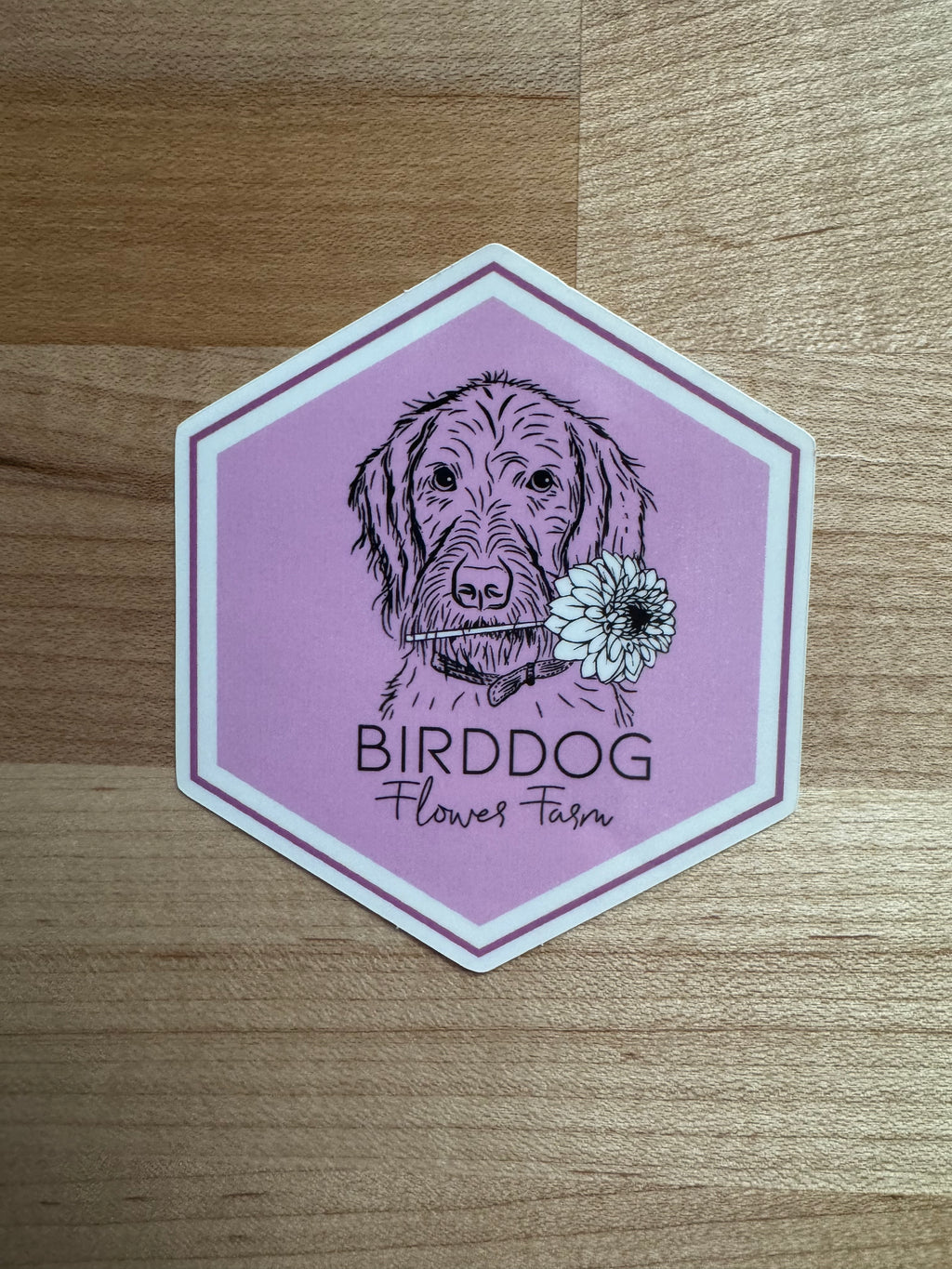 Sticker - Let’s Go Pink