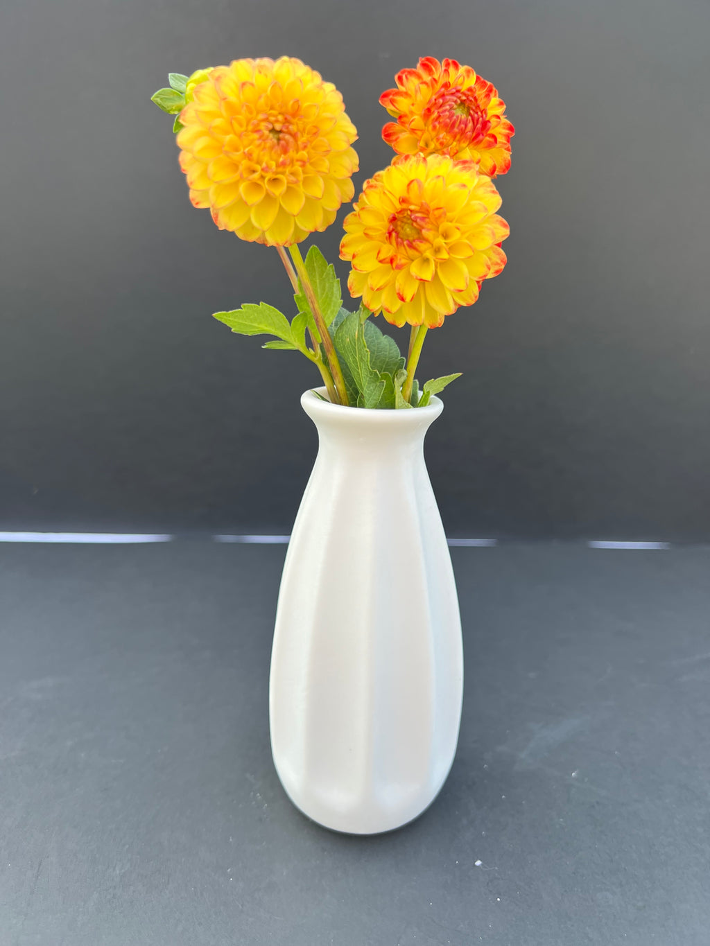 kasasagi dahlia bloom with vibrant red-yellow petals, grown from high-quality tubers for sale