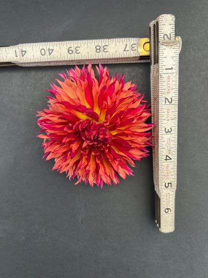 myrtles folly dahlia bloom with vibrant pink-dark pink-yellow petals, grown from high-quality tubers for sale