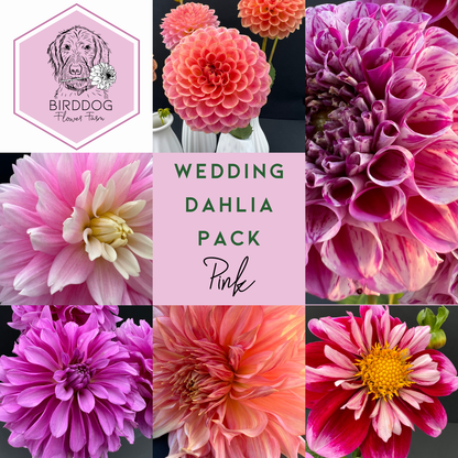 Grid of dahlia flowers included in a Pink theme wedding pack, purchase tubers for sale to grow your own flowers